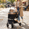 Dog Stroller & Transport Box