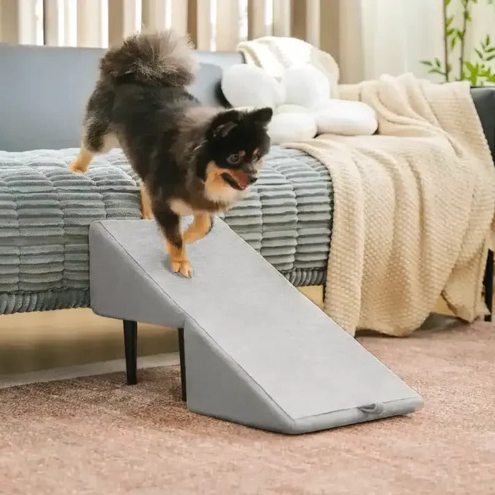 Convertible Dog Ramp & Step Stool
