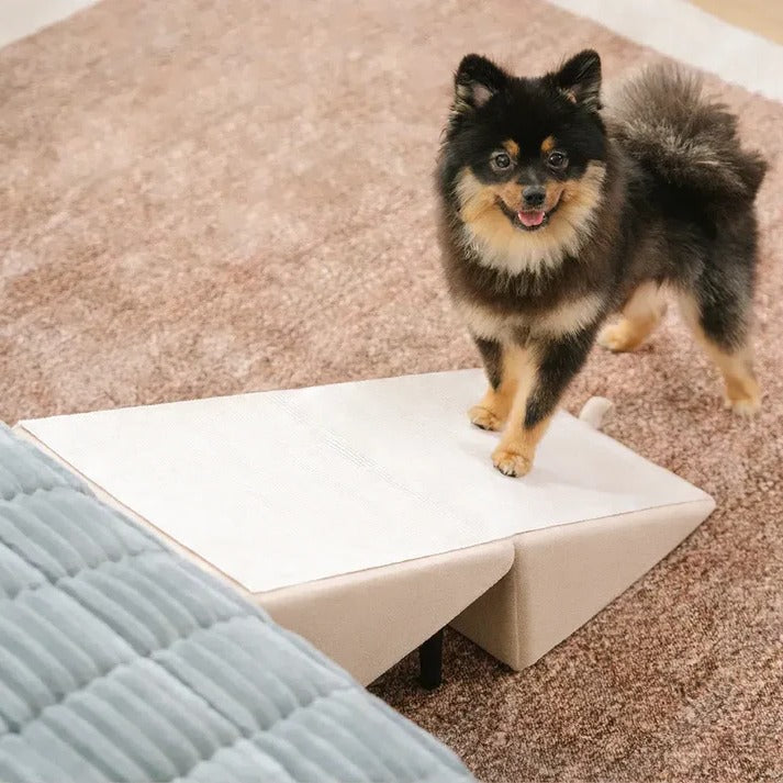Convertible Dog Ramp & Step Stool