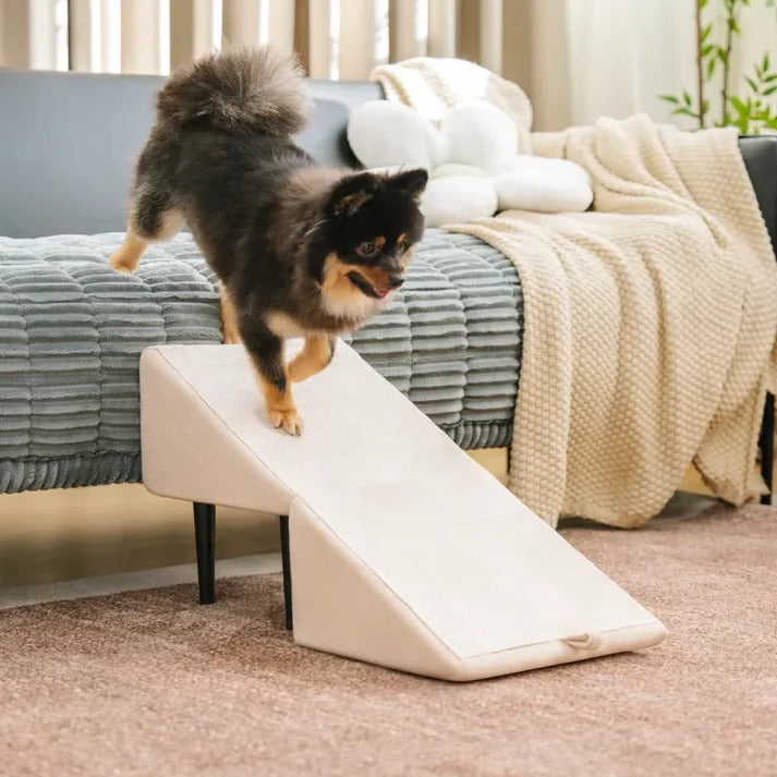 Convertible Dog Ramp & Step Stool