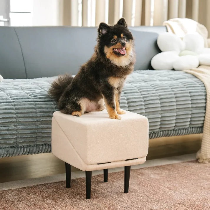 Convertible Dog Ramp & Step Stool
